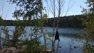 VID_20180618_112831-3