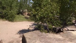 VID_20180618_112831-8