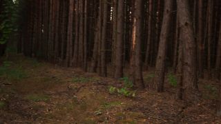 [K2S.CLUB] TheLazyCouple - Romatic Amateur Anal Standing Doggy in the Woods - Anal Creampie - FullHD 1080P-9