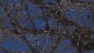 7151 DP Judith Fox - Superfuckers 6-0