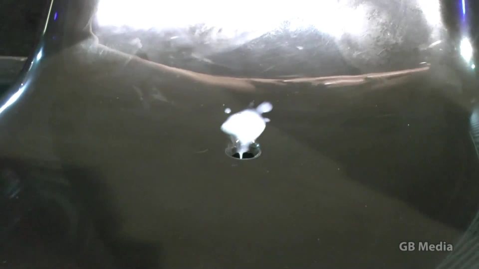 German porn German porn  Gangbang Chief - Amateur Jamie Full Cum Injection Orgy 1080P - Cum 