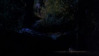Virginia Madsen – The Hot Spot (1990) HD 1080p - [Celebrity porn]-5