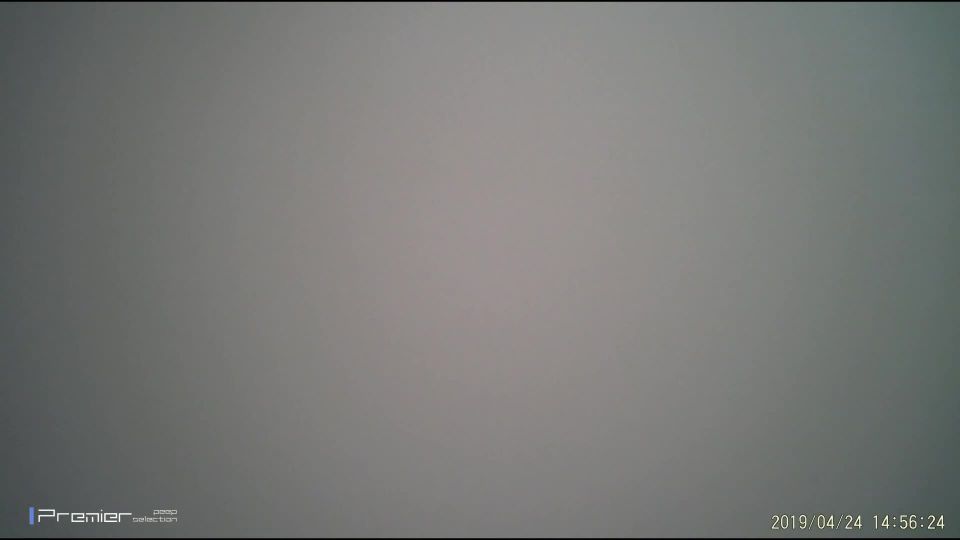 Excretion Of Large Ants Young Children All 528104858 - [Webcam]