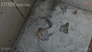 Master James Cell Sick 4th | slave Lucy Quick View Porn -...-9
