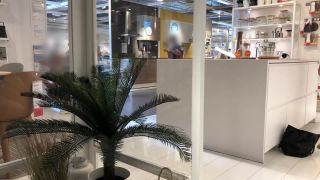 online adult clip 12 IviRoses Exhibitionist Public Nudity – Risky IKEA anal dildo barefoot, fetish friendly on public -0