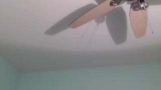 Online Tube Shemale Webcams Video for January 15, 2019 - shemales-6