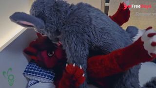 [GetFreeDays.com] this cute gray bunny fucks horny female wolf Murrsuit Porn Porn Video July 2023-6