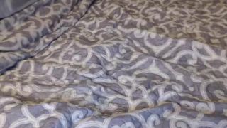 Online Tube Shemale Webcams Video for November 07, 2018 - shemales-9