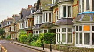 St. Elizabeth 32 Quick View Porn - New Sex Videos Online-9