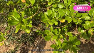 Alexa Mills - She Asked the Ranger to help her Find a Husband and had Sex with him to Alovid a Fine for Collecting Shells! [1080p] - Teen-1