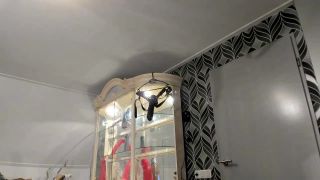 Siswetlive Many Monster Dildos Fuck Fully Anal Rosebutt V...-9