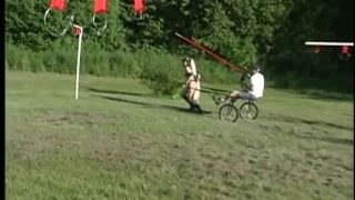 Four Seasons Of Ponyplay Video Sex Download Porn-7