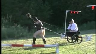 Four Seasons Of Ponyplay Video Sex Download Porn-8