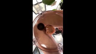 Alissa - Noir - Glas Stuhl und zwei Toys - Rate ob es geil war 1080P - Mdh-8
