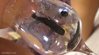 Hirudo MD Download New Porn Video Fast Mode or Watch-2