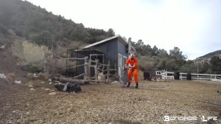 Yardwork With Greyhound  - 12.16.19.-1