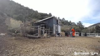 Yardwork With Greyhound  - 12.16.19.-3