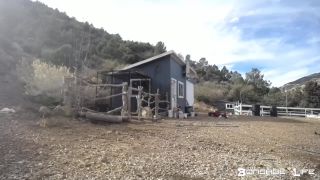 Yardwork With Greyhound  - 12.16.19.-5