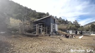 Yardwork With Greyhound  - 12.16.19.-6