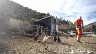 Yardwork With Greyhound  - 12.16.19.-7