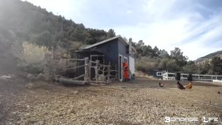 Yardwork With Greyhound  - 12.16.19.-9