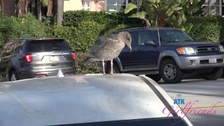 free adult clip 45 fetish fantasy studio You Take Lily To La Jolla For Some Sun!, vacation on squirt-7