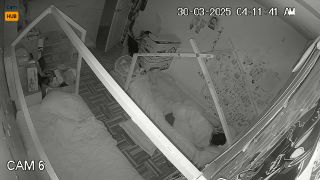 Voyeur 1522 Peru San Isidro X3PgVPSlm-1
