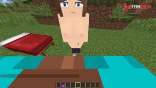 All Minecraft Jenny Animations Part 1 xhatihentai gameplay-2