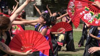  voyeur | Voyeur Performance 14 - 15325172 | voyeur-8