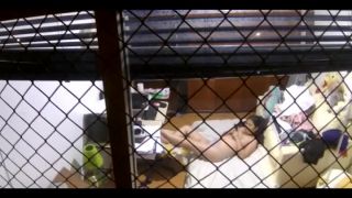 online adult video 7 jp2 - hidden camera - webcam -4