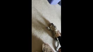 free adult video 20 LusciousxLuci – free – Romeo love shoes on pov princess fierce femdom-8