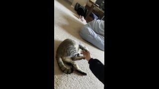 free adult video 20 LusciousxLuci – free – Romeo love shoes on pov princess fierce femdom-9