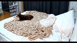 [K2S.CLUB] Reallifecam - Leora Rub Her Pussy Get Horny And Fuck With Her Big Dildo And Have Orgasm In Bedroom 21.09.2025 - HD 720P-9