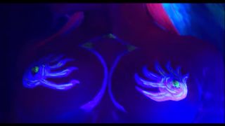 online porn video 37 Lisa Sparkle and Sandra Iron Get Kinky Under UV Light, gyno fetish on anal porn -1