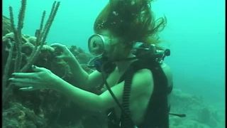 SexUnderwater e0018 Scuba Dears   Reef 2 (mp4)-5