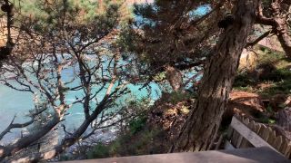 online xxx video 47 Xxx video clip 17 sakura femdom femdom femdom porn on femdom porn giant femdom-1