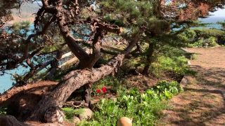 online xxx video 47 Xxx video clip 17 sakura femdom femdom femdom porn on femdom porn giant femdom-3