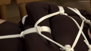 Bondagecafe H265Paris Kennedy - Sheer Lunacy-1