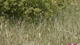 Eva, Juniper, Juno, Luci, Pixie Out Bush pt. [LESBIAN GIRLS Video]-1
