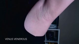 adult xxx clip 45 Venus Venerous - Freshly Shaved Armpit JOI on femdom porn femdom feet slave-6