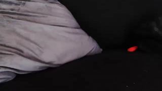 Online Tube Shemale Webcams Video for September 29, 2019 - shemales-8