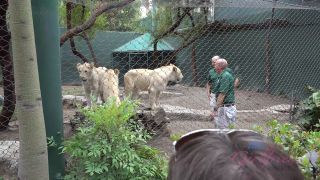 Video Virtual Vacation Las Vegas 4/4: Ariana Marie 2160p UltraHD/4K-1