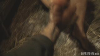 Porn online HorrorPorn presents Rabbit Hutch-3