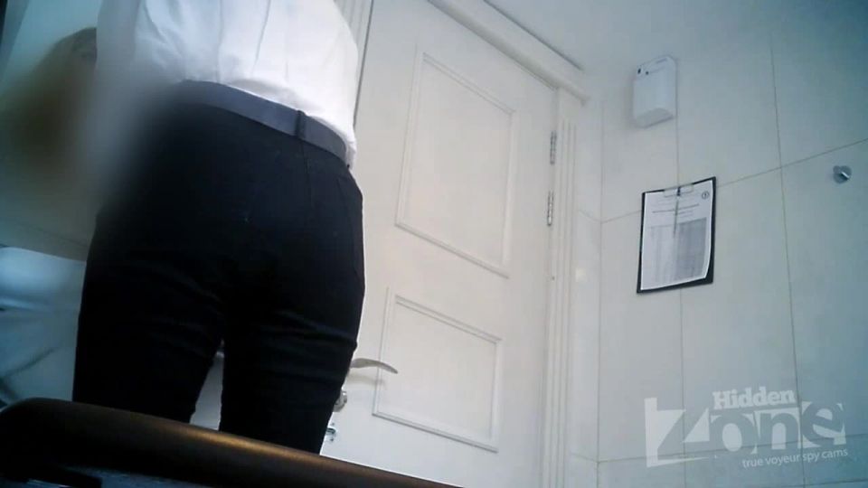 Hidden-Zone Toilet – hz Wc2911,  on voyeur 