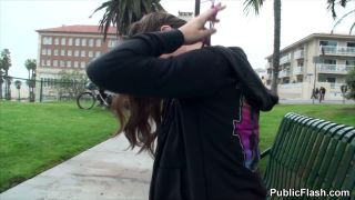 Sweater  Puppies-1
