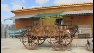 free xxx video 9 Fesseln der Lust (2017) - deutsch - femdom porn faye reagan bdsm-8