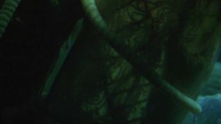 Natasha Henstridge – Species II (1998) HD 1080p!!!-9