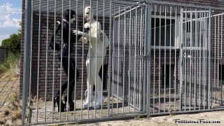 Latex Kitties Outdoors Quick View Porn - New Sex Videos O...-1