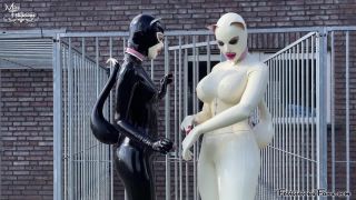 Latex Kitties Outdoors Quick View Porn - New Sex Videos O...-8