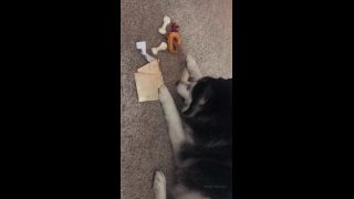 Priyaanjalirai - my doggy opening her present 27-12-2019-9